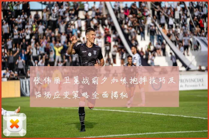 张伟丽卫冕战前夕加练抱摔技巧及临场应变策略全面揭秘